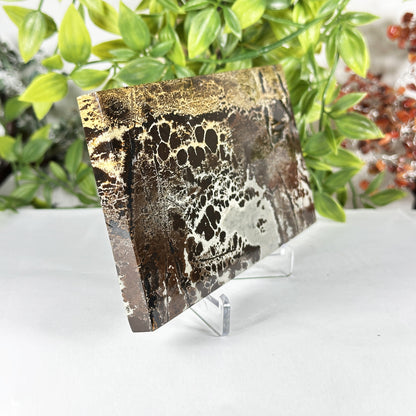 Natural Picture Jasper Slab - Gem Avenue Retail