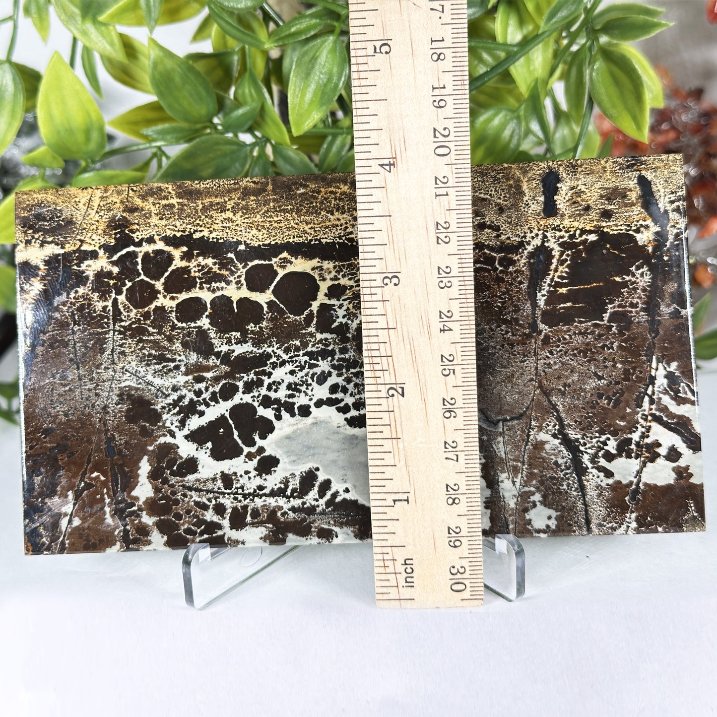 Natural Picture Jasper Slab - Gem Avenue Retail