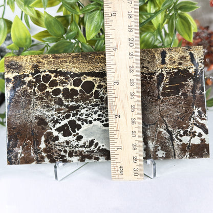 Natural Picture Jasper Slab - Gem Avenue Retail