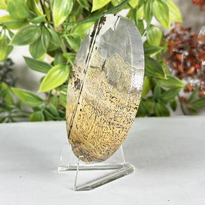 Natural Picture Jasper Slab - Gem Avenue Retail