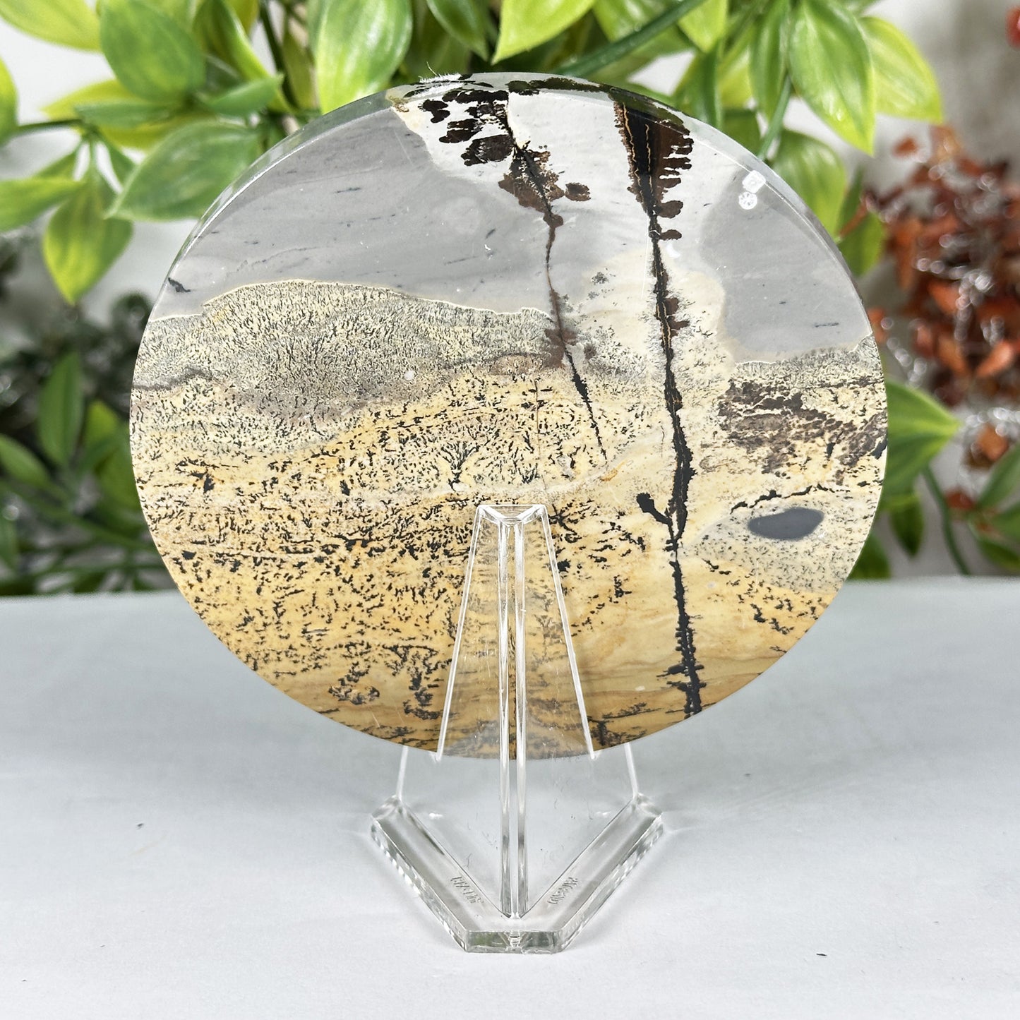 Natural Picture Jasper Slab - Gem Avenue Retail