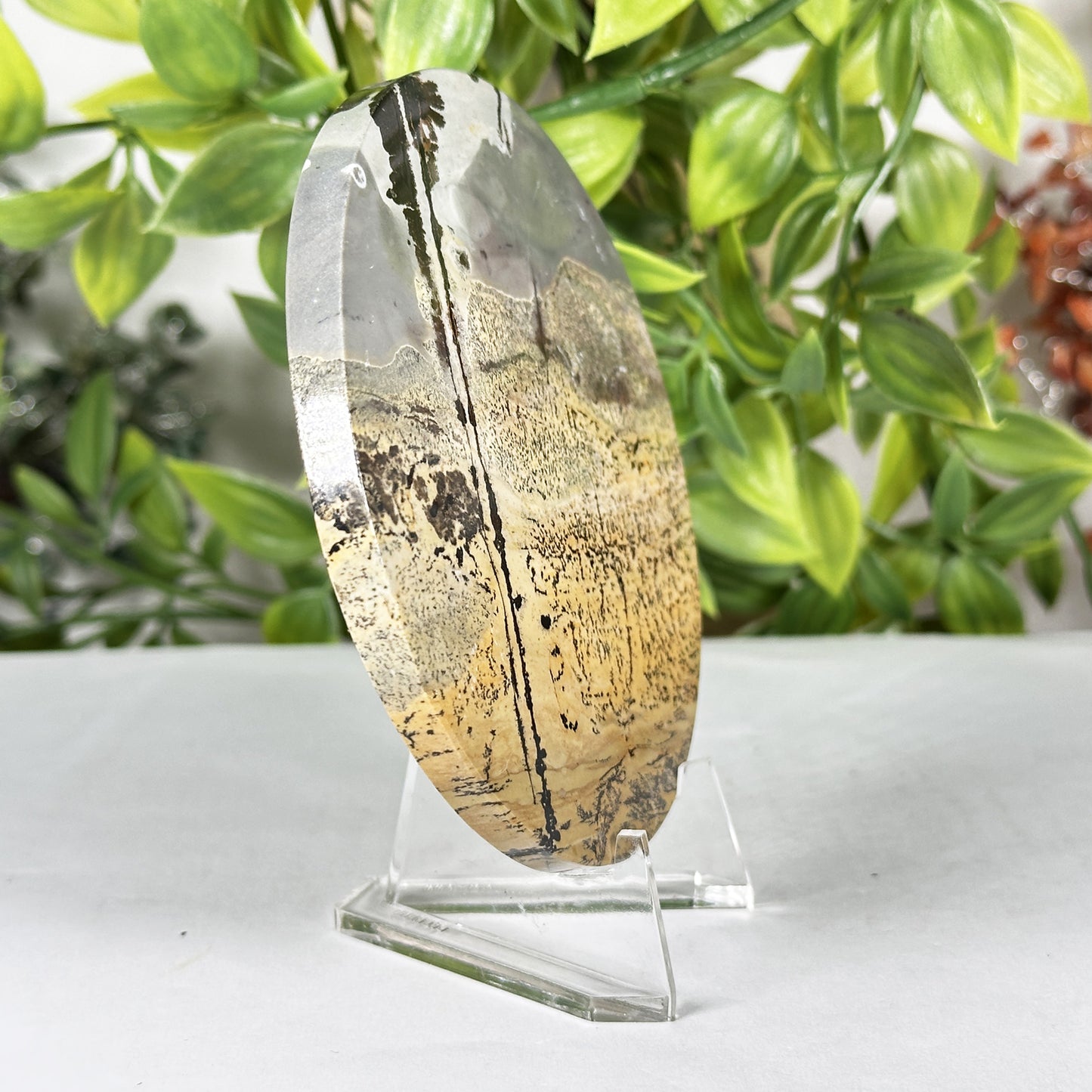 Natural Picture Jasper Slab - Gem Avenue Retail