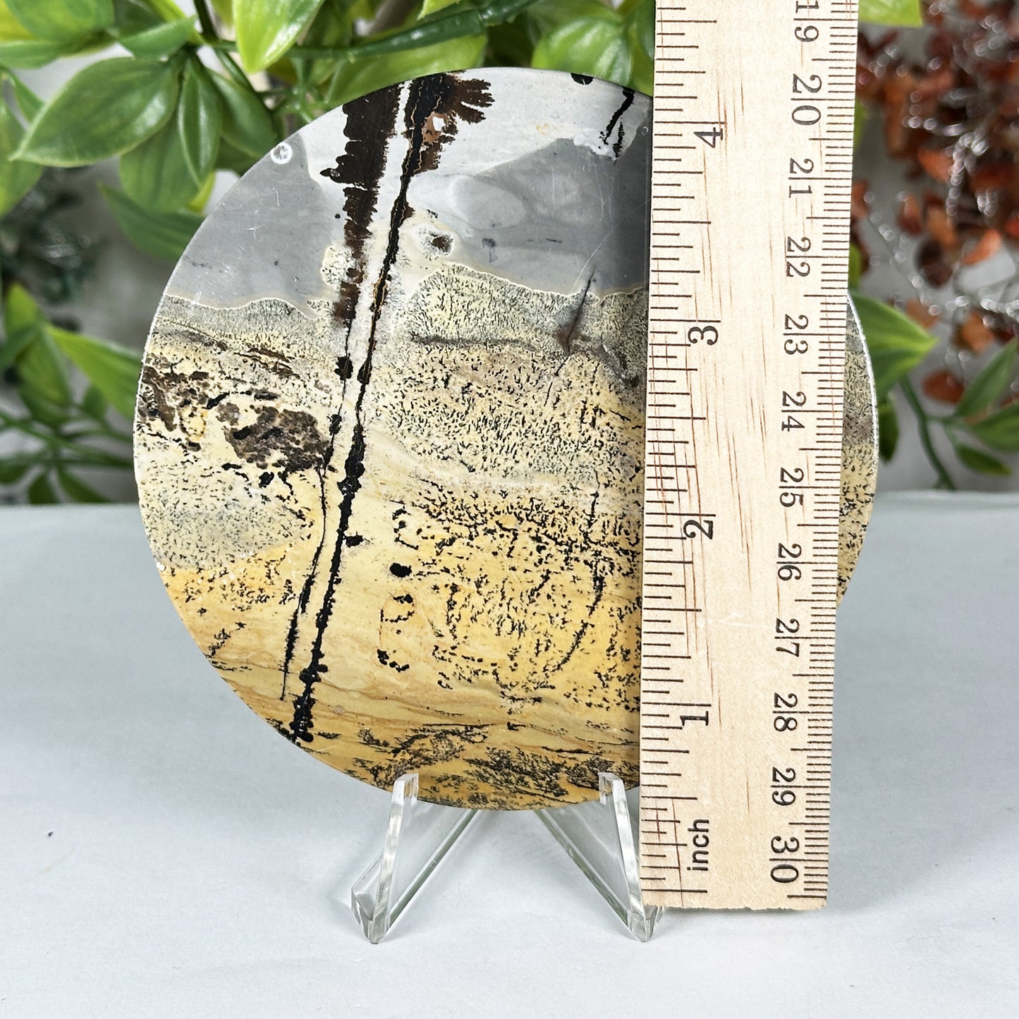 Natural Picture Jasper Slab - Gem Avenue Retail