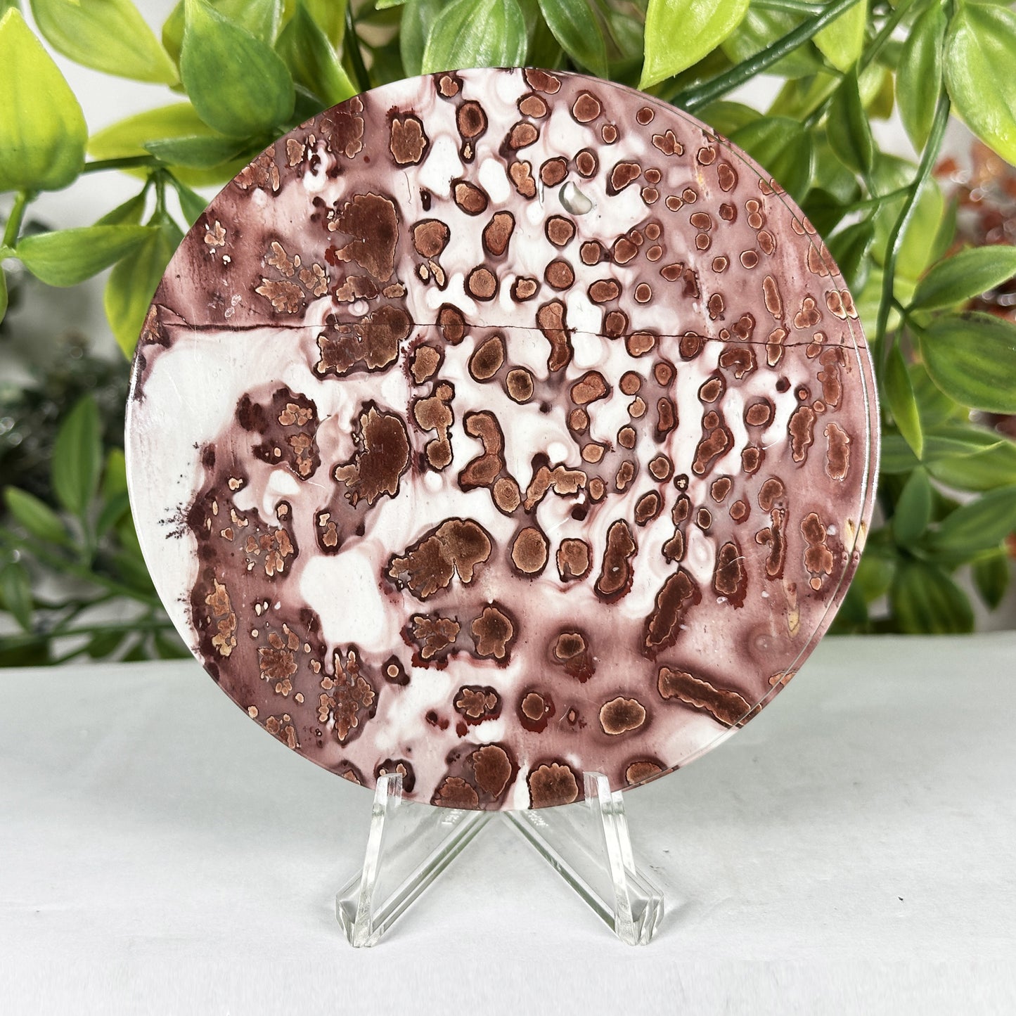 Picture Jasper Slab - Gem Avenue Retail