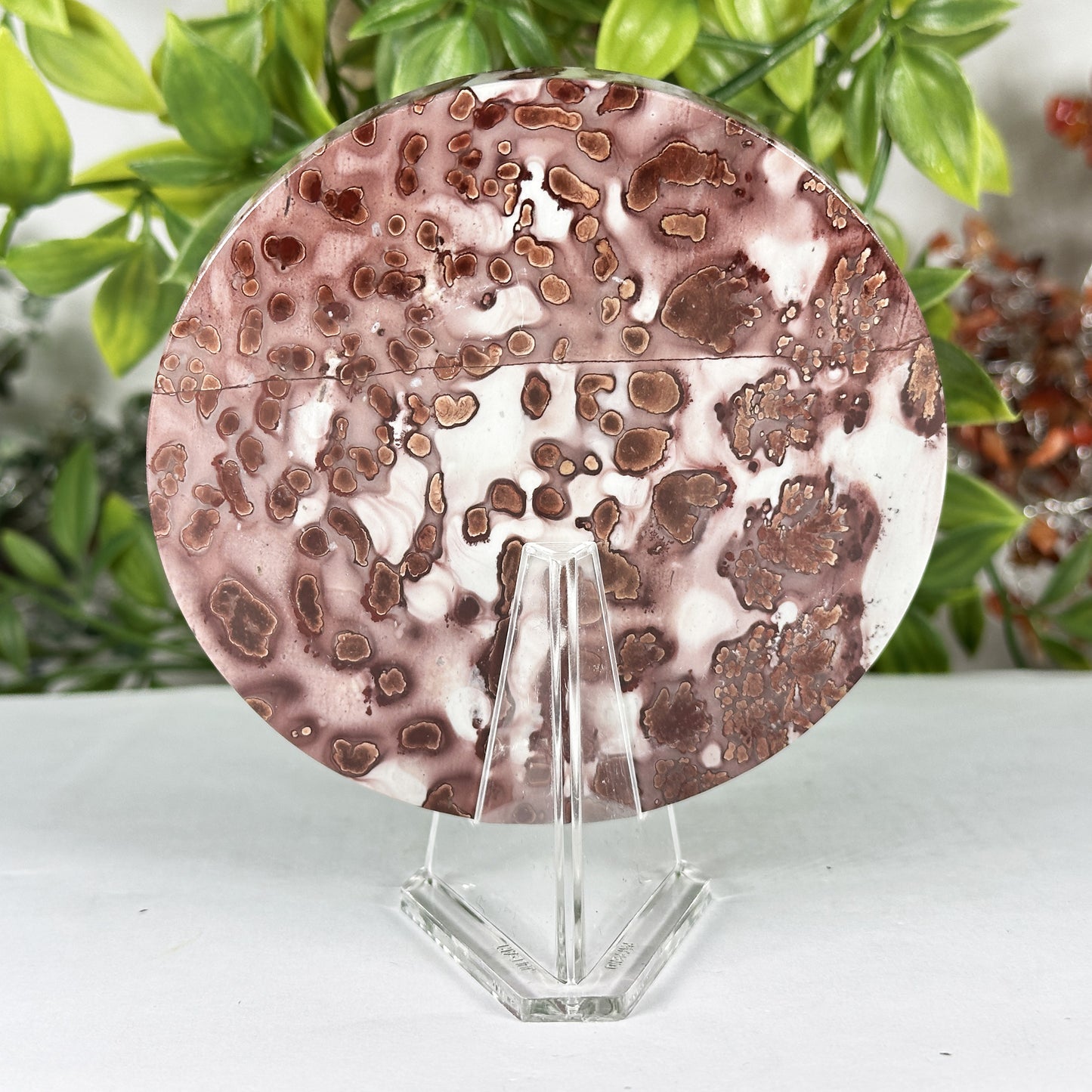 Picture Jasper Slab - Gem Avenue Retail