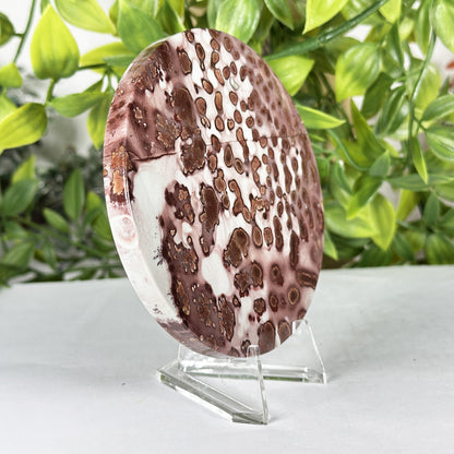 Picture Jasper Slab - Gem Avenue Retail