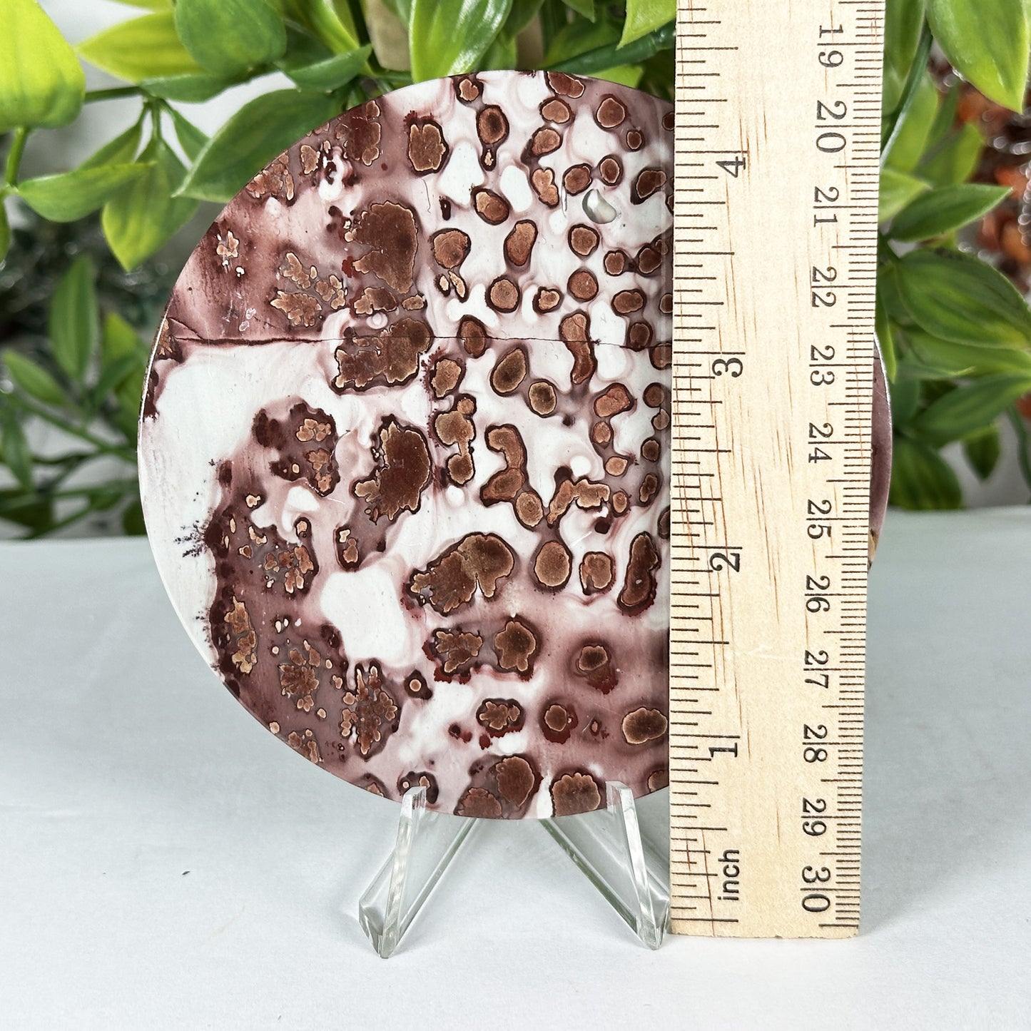 Picture Jasper Slab - Gem Avenue Retail