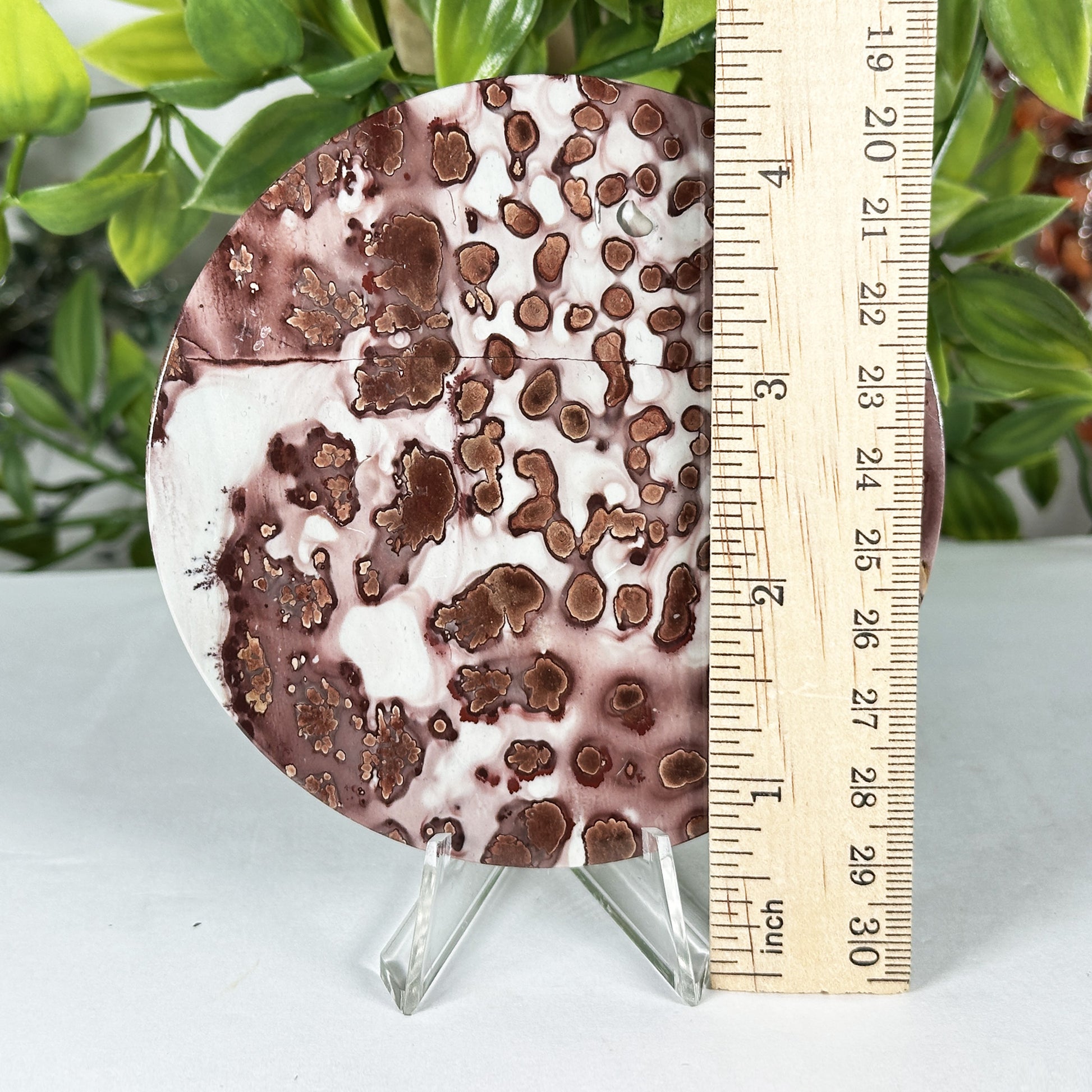 Picture Jasper Slab - Gem Avenue Retail