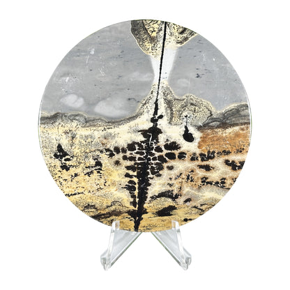 Picture Jasper Slab -  Gem Avenue Retail