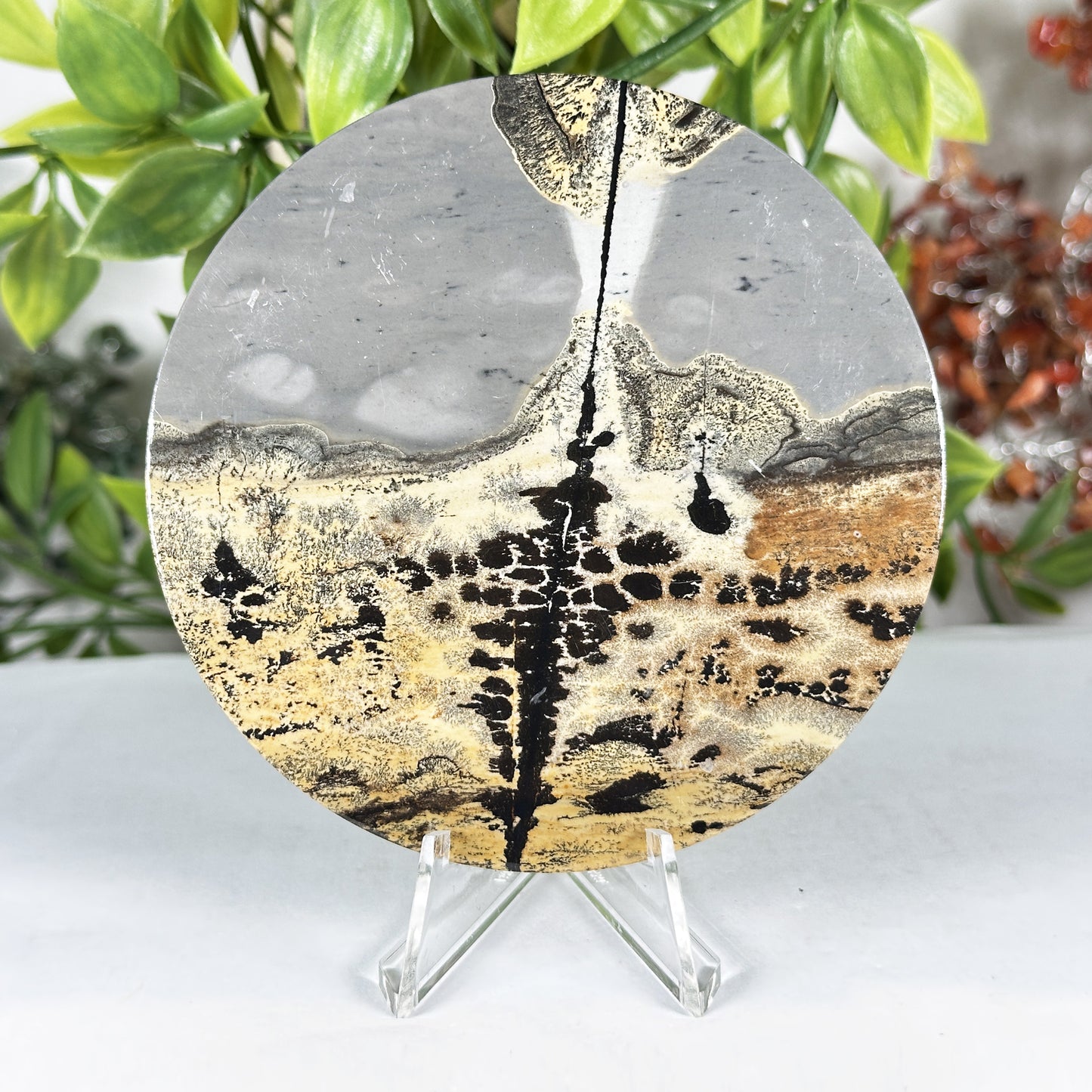 Polished Round Picture Jasper Slab Natural Scenic Peak Pattern - RSL107