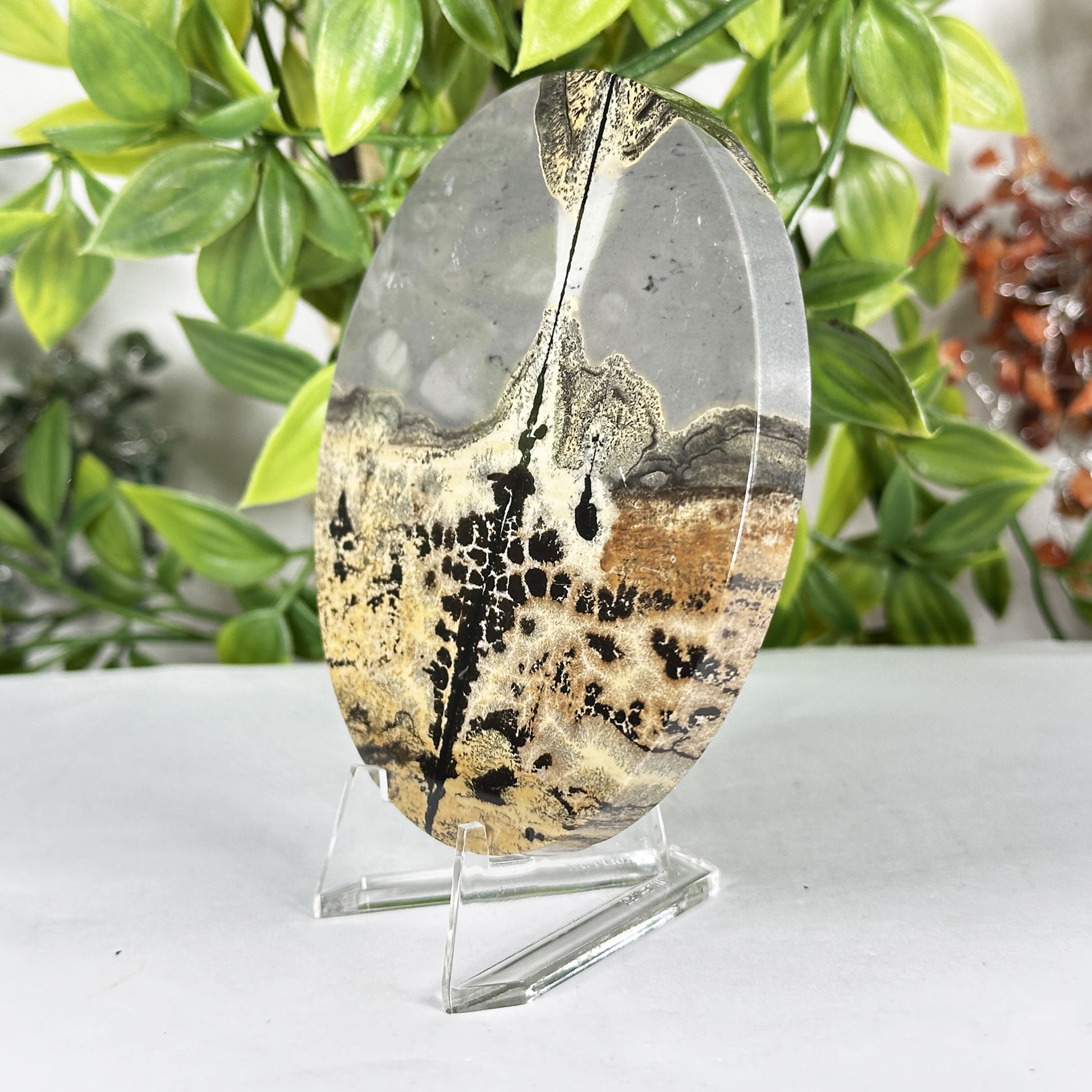 Picture Jasper Slab -  Gem Avenue Retail