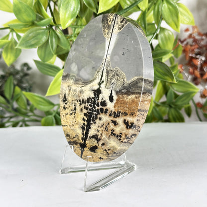 Picture Jasper Slab -  Gem Avenue Retail