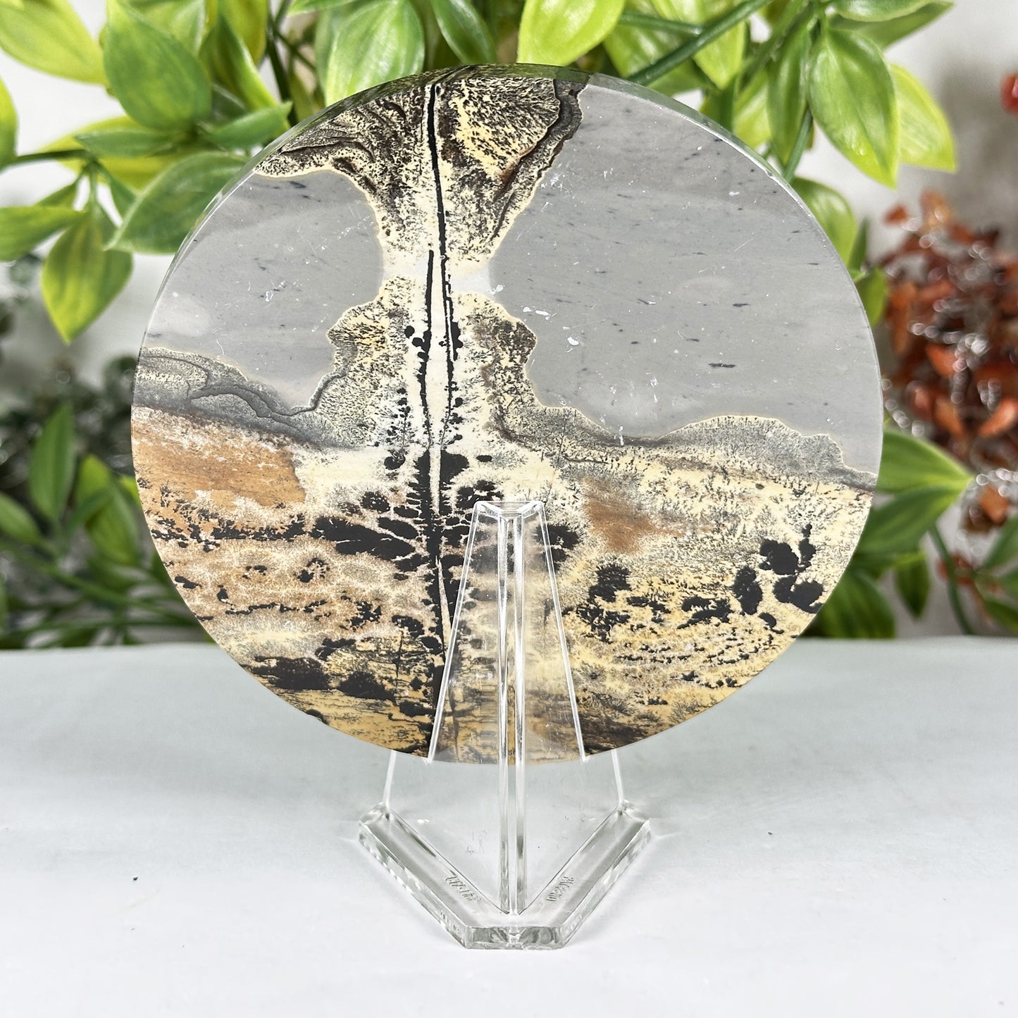 Polished Round Picture Jasper Slab Natural Scenic Peak Pattern - RSL107