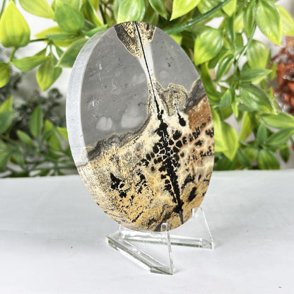 Picture Jasper Slab -  Gem Avenue Retail