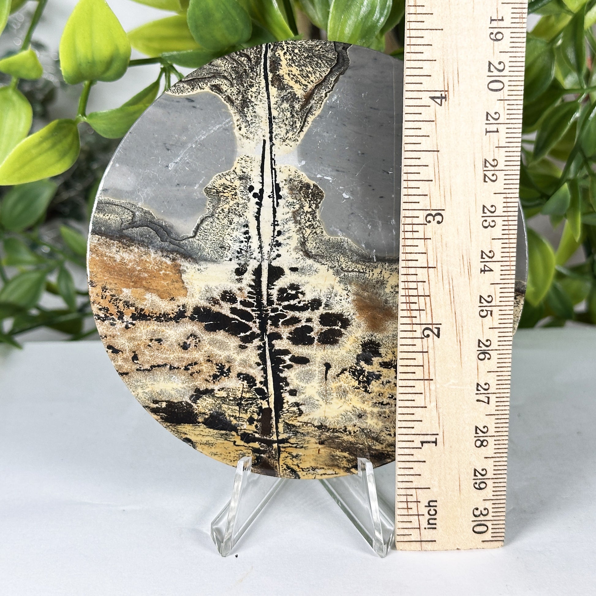 Picture Jasper Slab -  Gem Avenue Retail