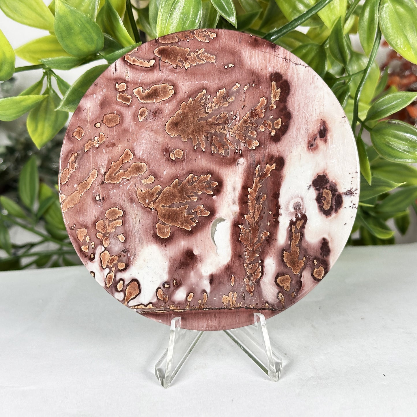 Picture Jasper Slab - Gem Avenue Retail