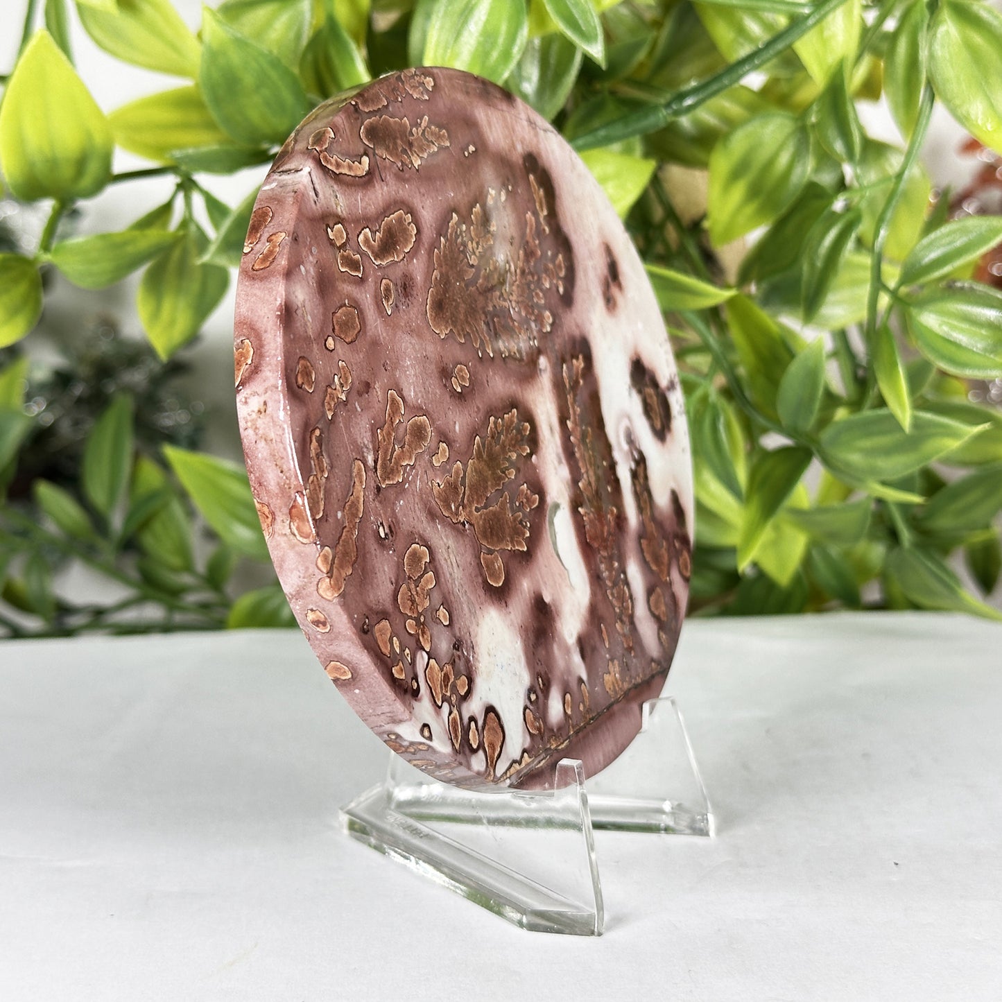 Picture Jasper Slab - Gem Avenue Retail