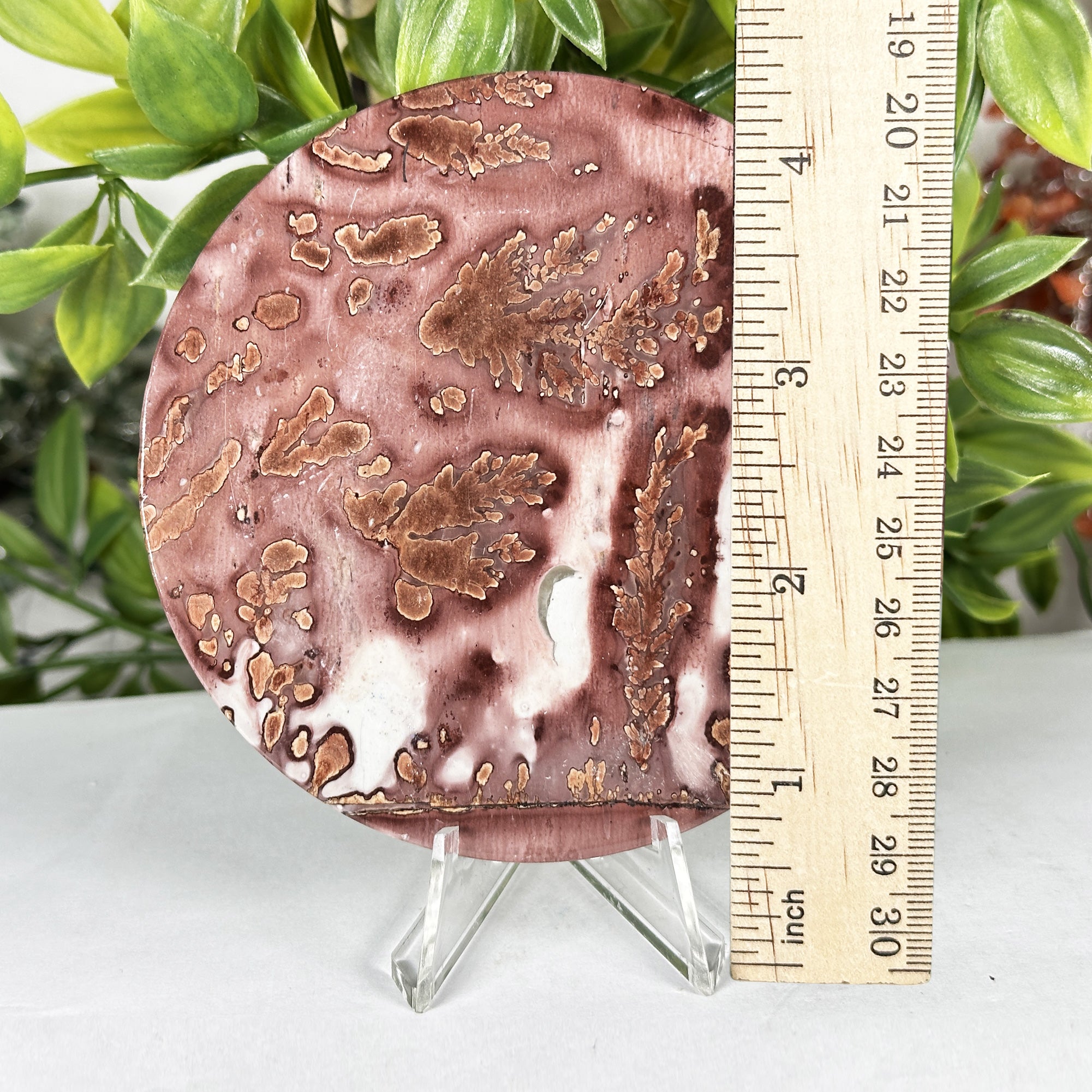 Polished Round Picture Jasper Slab Plum Dendritic Pattern RSL108