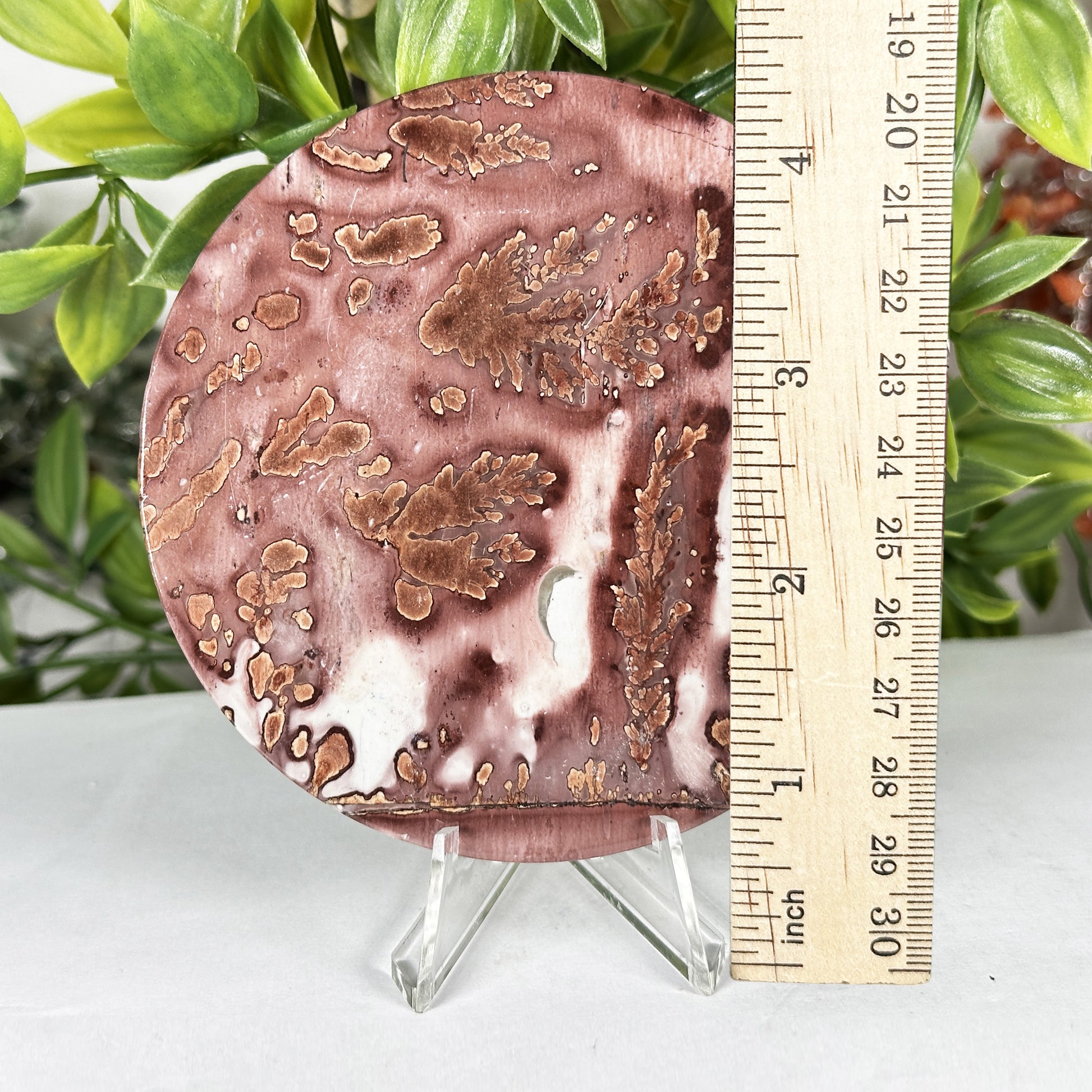 Picture Jasper Slab - Gem Avenue Retail