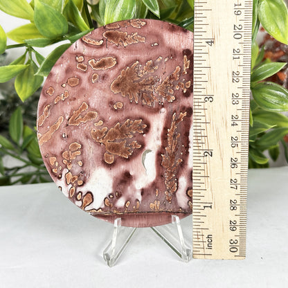 Picture Jasper Slab - Gem Avenue Retail