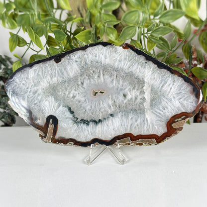 Natural Agate Slab Polished Crystal Slice on Stand Brazil 4.25" Wide