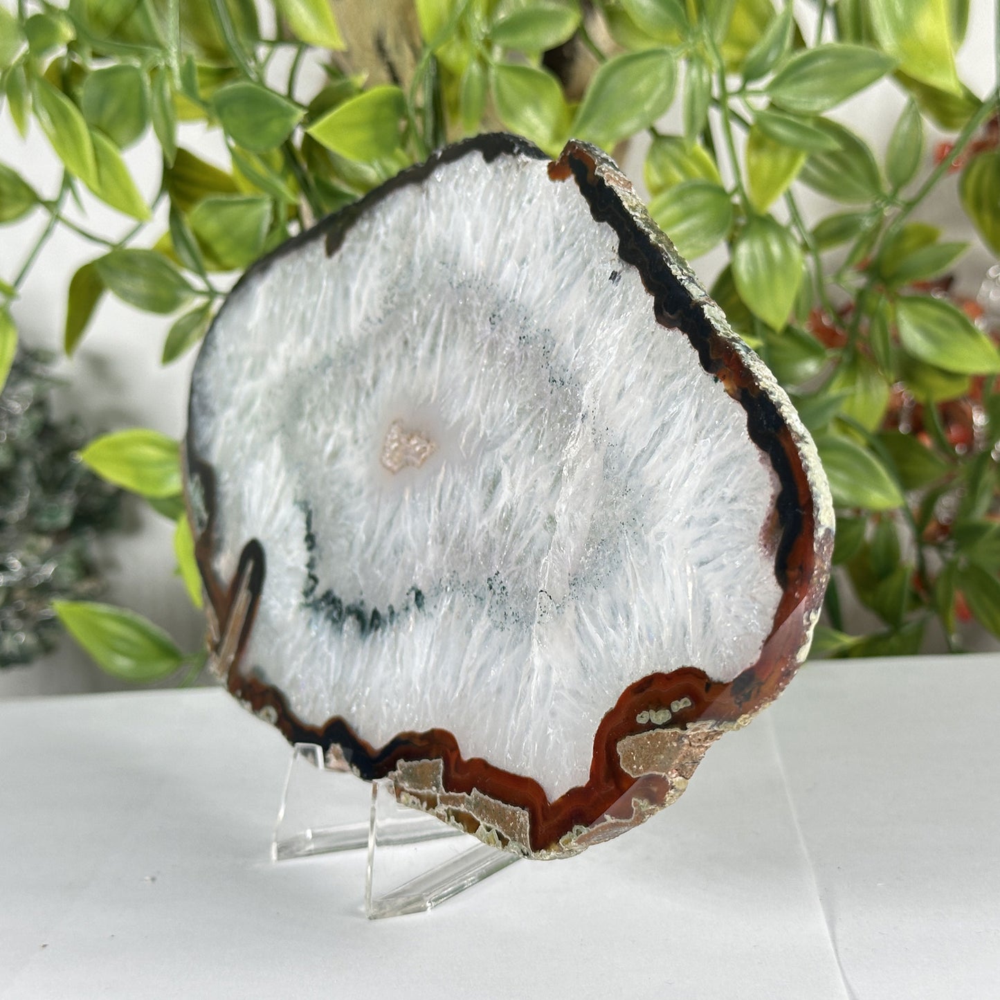 Natural Agate Slab Polished Crystal Slice on Stand Brazil 4.25" Wide