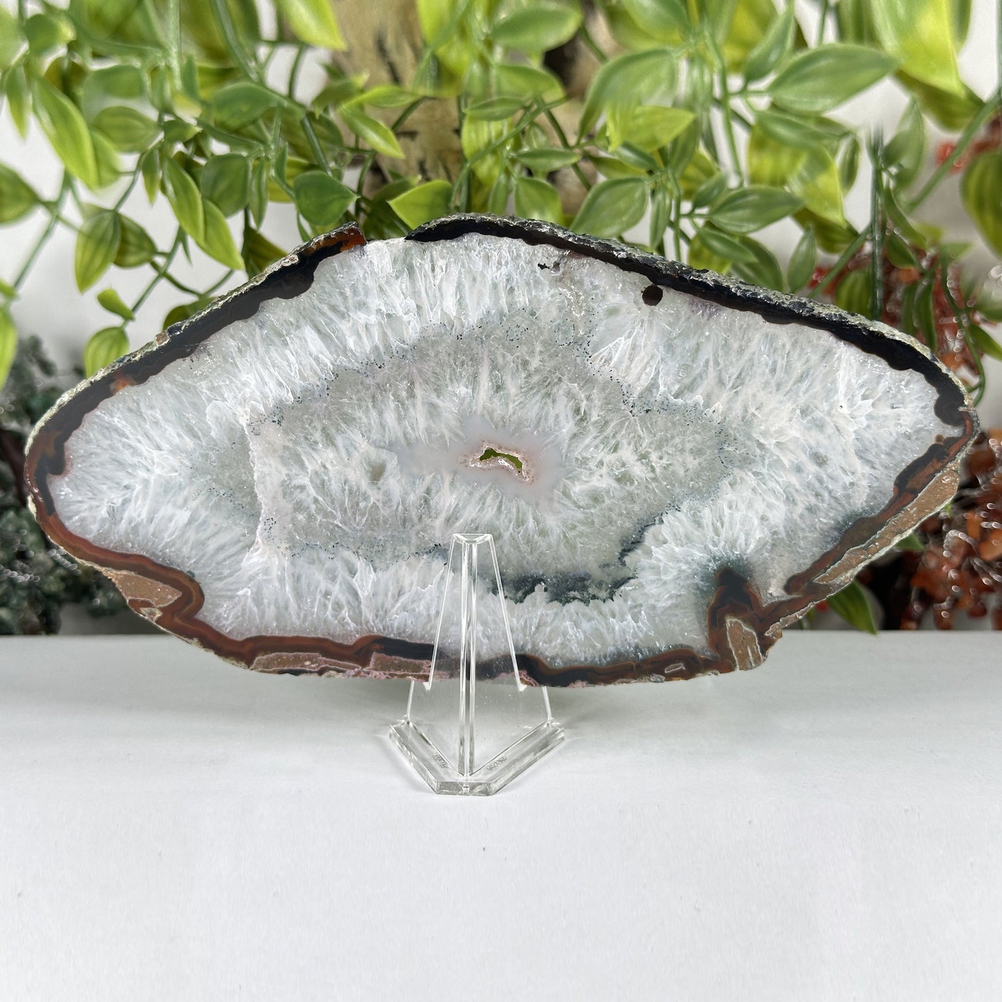 Natural Agate Slab Polished Crystal Slice on Stand Brazil 4.25" Wide