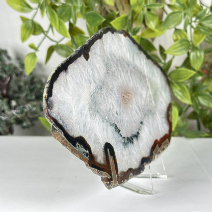 Natural Agate Slab Polished Crystal Slice on Stand Brazil 4.25" Wide