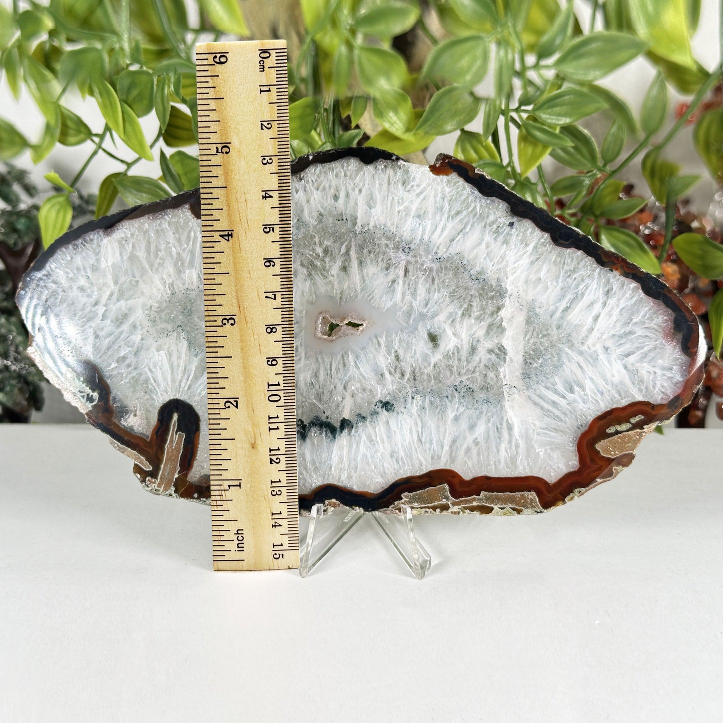 Natural Agate Slab Polished Crystal Slice on Stand Brazil 4.25" Wide