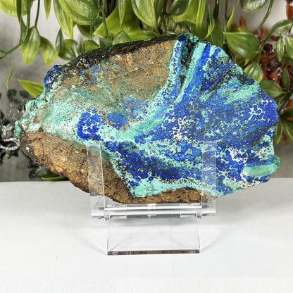 Azurite Malachite Slab 6.5" Polished Natural Blue & Green Crystal Specimen