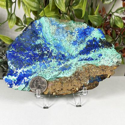 Azurite Malachite Slab 6.5" Polished Natural Blue & Green Crystal Specimen