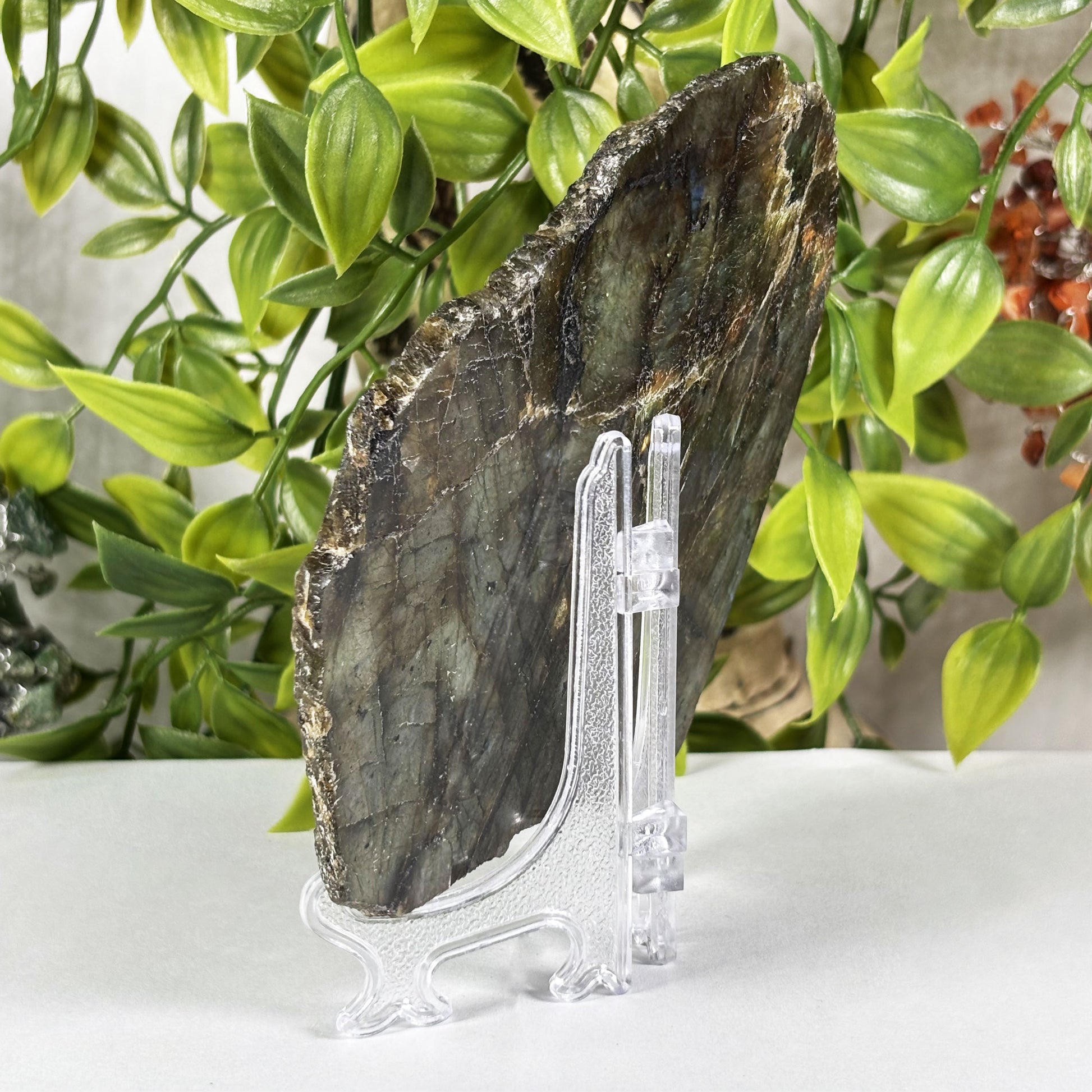 Labradorite Crystal Gemstone Slab - Gem Avenue Retail