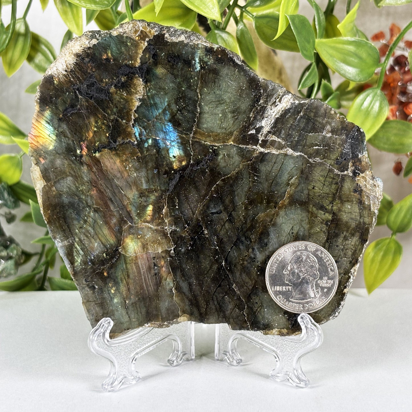 Labradorite Crystal Gemstone Slab - Gem Avenue Retail