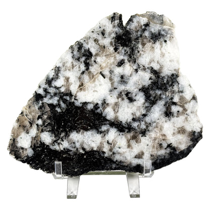 Rainbow Moonstone Crystal Slab - Gem Avenue Retail