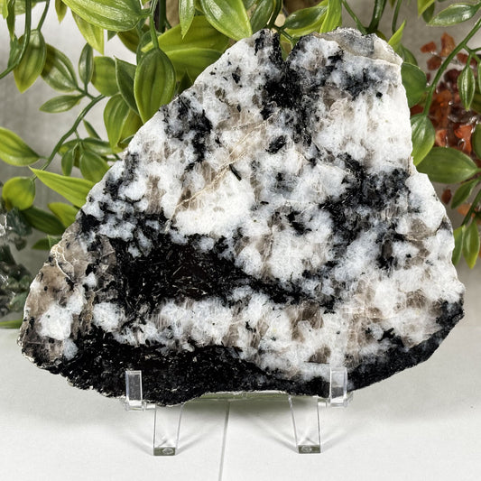 Rainbow Moonstone Crystal Slab - Gem Avenue Retail