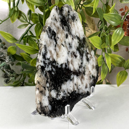 Rainbow Moonstone Crystal Slab - Gem Avenue Retail