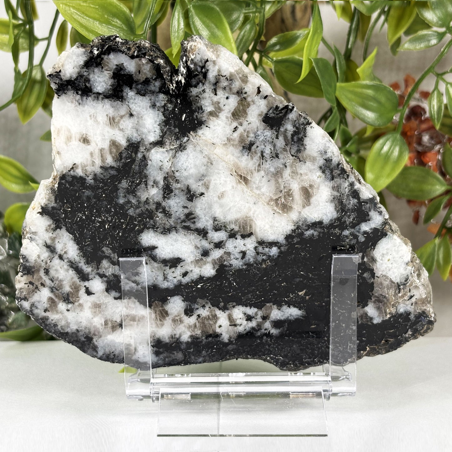 Rainbow Moonstone Crystal Slab - Gem Avenue Retail