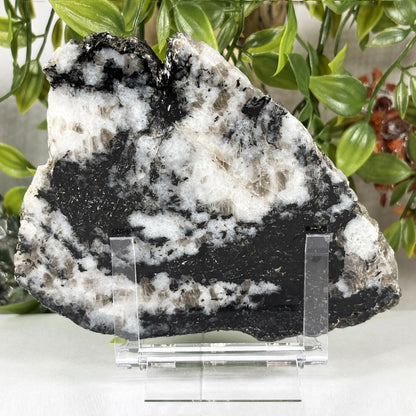 Rainbow Moonstone Crystal Slab - Gem Avenue Retail