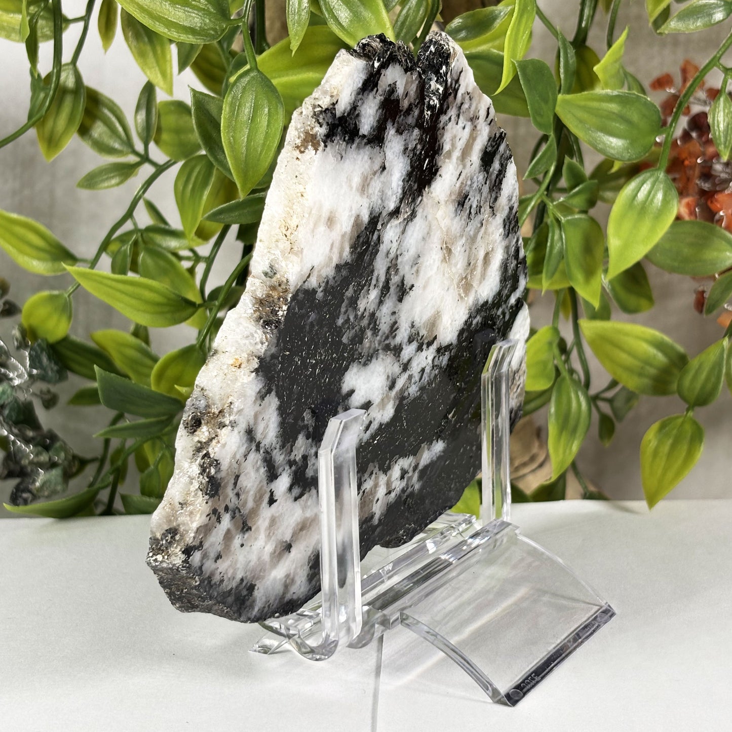 Rainbow Moonstone Crystal Slab - Gem Avenue Retail