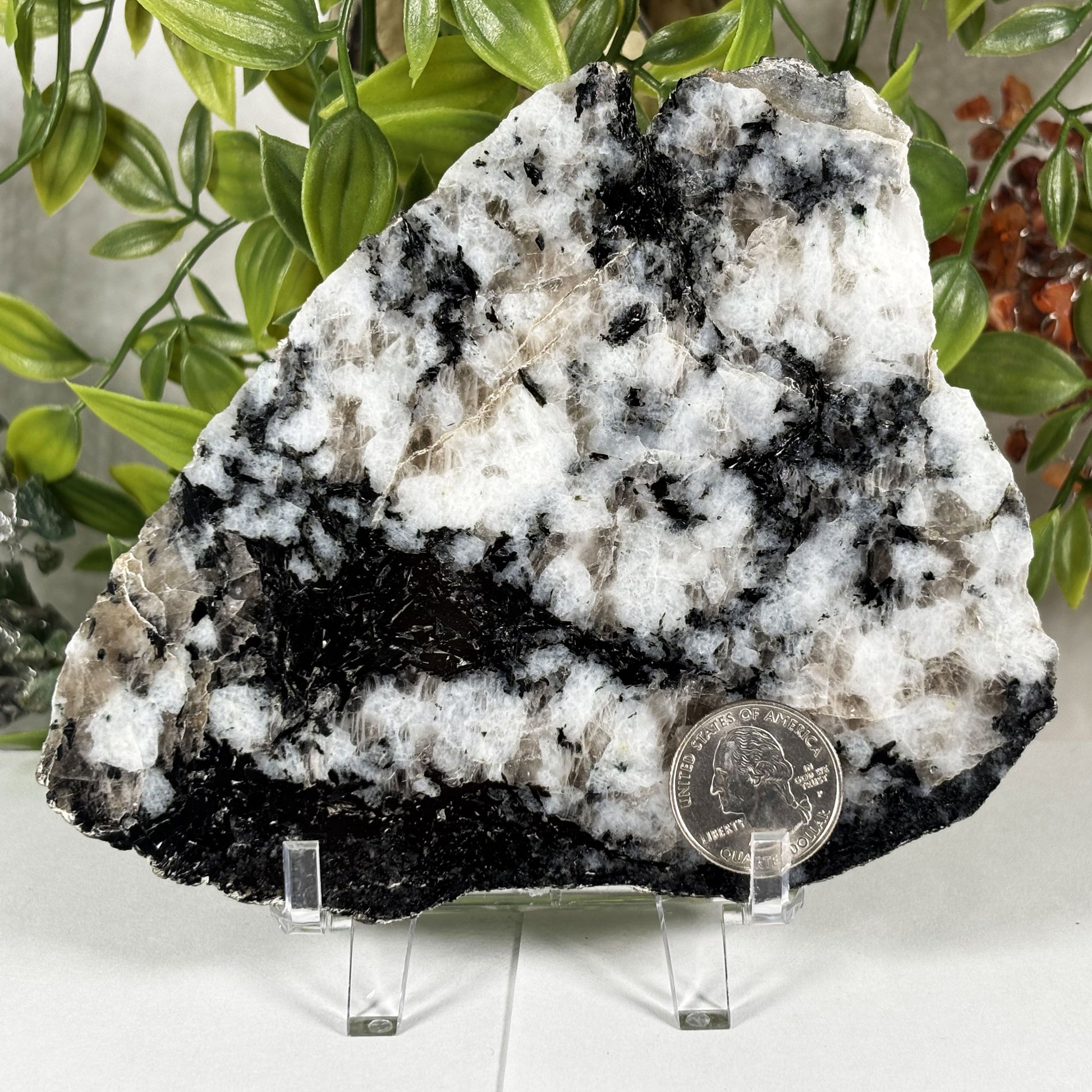 Rainbow Moonstone Crystal Slab - Gem Avenue Retail