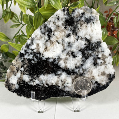 Rainbow Moonstone Crystal Slab - Gem Avenue Retail
