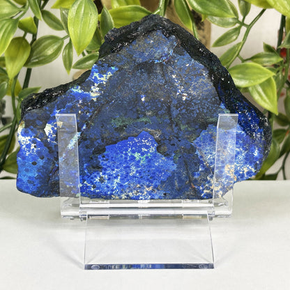 Azurite Malachite Slab Crystal - Gem Avenue Retail