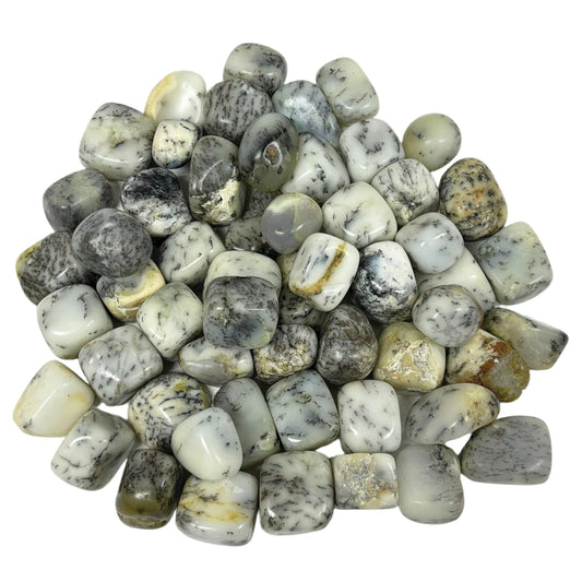 Polished Dendritic Agate Gemstone Tumbled Stone - Gem Avenue