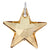 925 Sterling Silver Star Shape Charm Pendant with Austrian Crystal