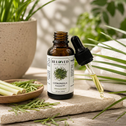 Beloved Botanicals Citronella Essential Oil 30ml (1 Fl Oz) 100% Pure & Natural Aromatherapy Oil for Diffuser, Home Fragrance, Massage & DIY Blend