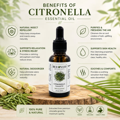 Beloved Botanicals Citronella Essential Oil 30ml (1 Fl Oz) 100% Pure & Natural Aromatherapy Oil for Diffuser, Home Fragrance, Massage & DIY Blend