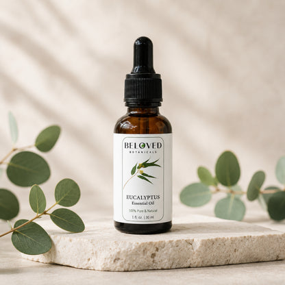 Beloved Botanicals Eucalyptus Essential Oil 30ml (1 Fl Oz) 100% Pure & Natural Aromatherapy Oil for Diffuser, Massage, Humidifier, Spa & DIY Blends  Eucalyptus globulus