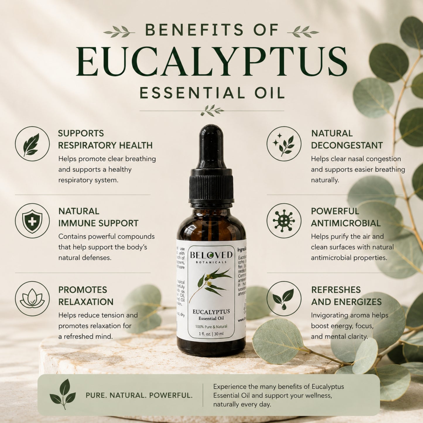 Beloved Botanicals Eucalyptus Essential Oil 30ml (1 Fl Oz) 100% Pure & Natural Aromatherapy Oil for Diffuser, Massage, Humidifier, Spa & DIY Blends  Eucalyptus globulus