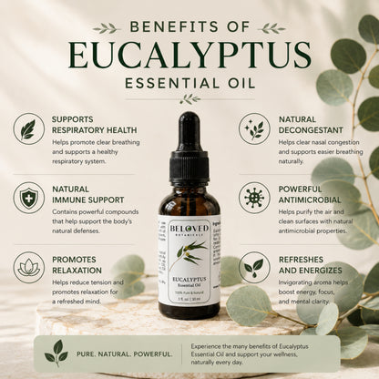 Beloved Botanicals Eucalyptus Essential Oil 30ml (1 Fl Oz) 100% Pure & Natural Aromatherapy Oil for Diffuser, Massage, Humidifier, Spa & DIY Blends  Eucalyptus globulus