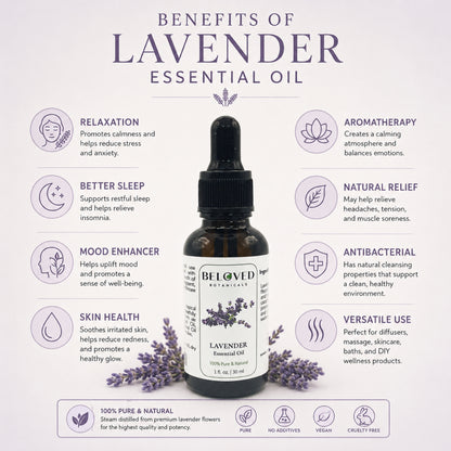 Beloved Botanicals Lavender Essential Oil 30ml (1 Fl Oz) 100% Pure & Natural Aromatherapy Oil for Diffuser, Massage, Relaxation, Home Fragrance & Skincare Use